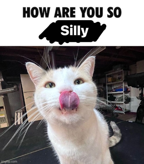 8 | made w/ Imgflip meme maker