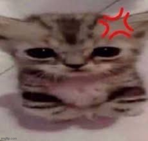 peepee | made w/ Imgflip meme maker