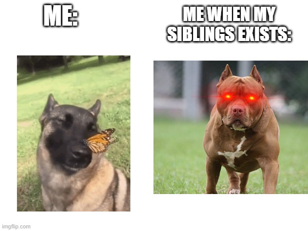 ME WHEN MY
SIBLINGS EXISTS:; ME: | made w/ Imgflip meme maker