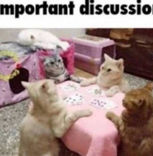 important discussion | image tagged in important discussion | made w/ Imgflip meme maker