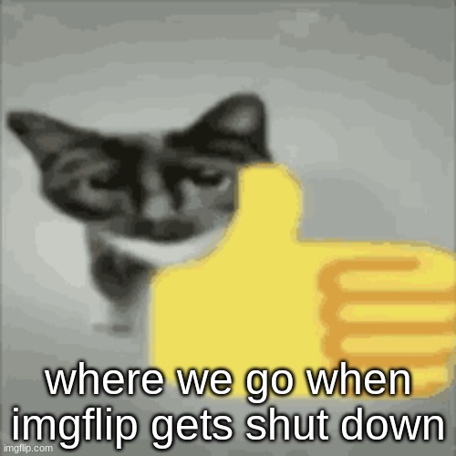 cat thumbs up | where we go when imgflip gets shut down | image tagged in cat thumbs up | made w/ Imgflip meme maker