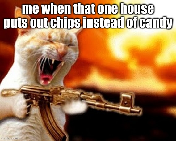 machine gun cat | me when that one house puts out chips instead of candy | image tagged in machine gun cat | made w/ Imgflip meme maker