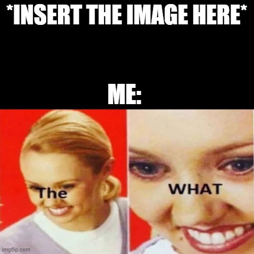 The What | *INSERT THE IMAGE HERE* ME: | image tagged in the what | made w/ Imgflip meme maker