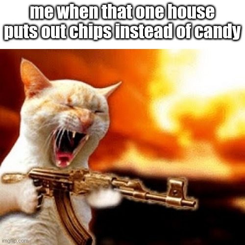 machine gun cat | me when that one house puts out chips instead of candy | image tagged in machine gun cat | made w/ Imgflip meme maker