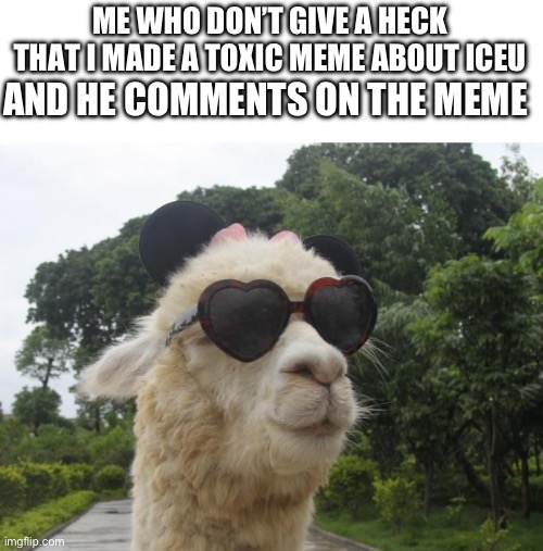 cool llama | ME WHO DON’T GIVE A HECK THAT I MADE A TOXIC MEME ABOUT ICEU AND HE COMMENTS ON THE MEME | image tagged in cool llama | made w/ Imgflip meme maker