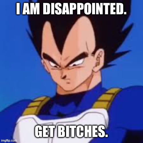 Do it. | I AM DISAPPOINTED. GET BITCHES. | image tagged in technically anime,get some bitches,get bitches,vegeta,i am disappointed | made w/ Imgflip meme maker