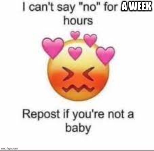 Can't say no for 24 hours | A WEEK | image tagged in can't say no for 24 hours | made w/ Imgflip meme maker