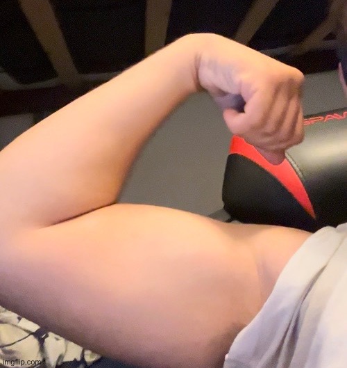 Finally healed from arm day. | made w/ Imgflip meme maker