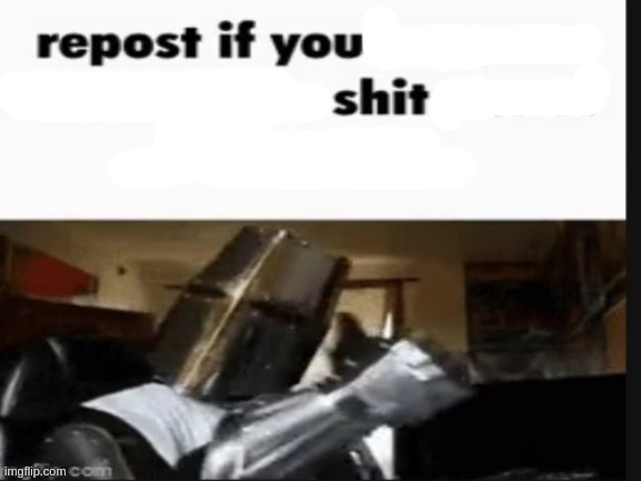 Repost if you shit | image tagged in repost if you shit | made w/ Imgflip meme maker