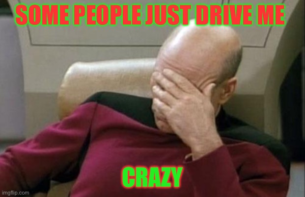 Captain Picard Facepalm | SOME PEOPLE JUST DRIVE ME; CRAZY | image tagged in memes,captain picard facepalm | made w/ Imgflip meme maker