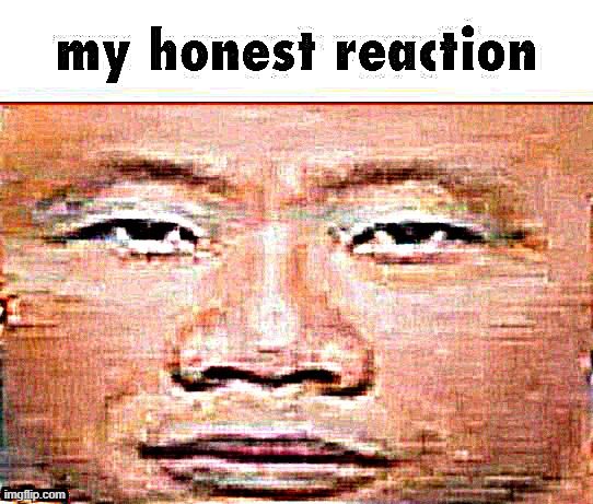 my honest reaction | image tagged in my honest reaction | made w/ Imgflip meme maker