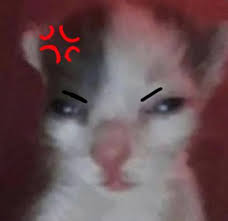 mad cat Blank Meme Template