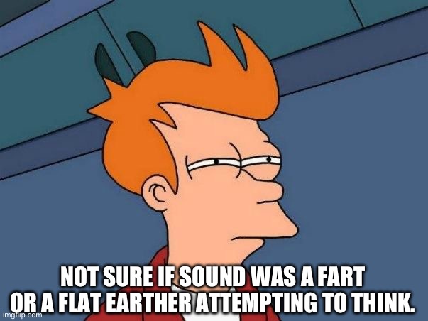 Not sure if- fry | NOT SURE IF SOUND WAS A FART OR A FLAT EARTHER ATTEMPTING TO THINK. | image tagged in not sure if- fry | made w/ Imgflip meme maker