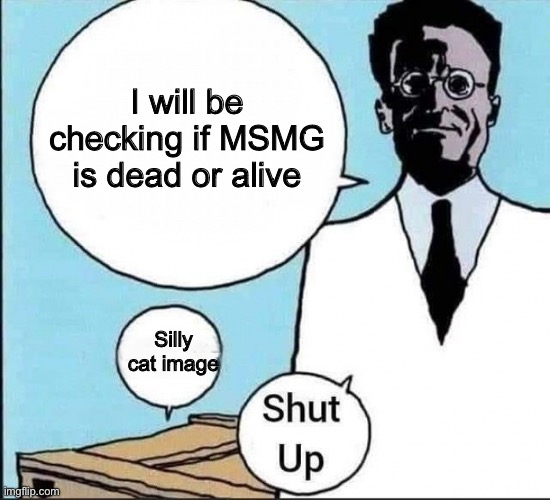 Schrödinger's cat | I will be checking if MSMG is dead or alive; Silly cat image | image tagged in schr dinger's cat | made w/ Imgflip meme maker