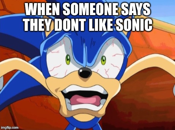 Sonic Memes. Friend Me On Roblox for More Memes. Username: WeLikeSonic1234 | WHEN SOMEONE SAYS THEY DONT LIKE SONIC | image tagged in sonic scared face | made w/ Imgflip meme maker
