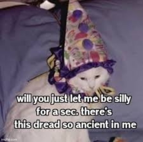 will you let me be silly | image tagged in will you let me be silly | made w/ Imgflip meme maker