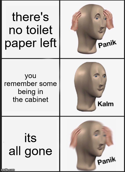 Wonder who took it | there's no toilet paper left; you remember some being in the cabinet; its all gone | image tagged in memes,panik kalm panik | made w/ Imgflip meme maker