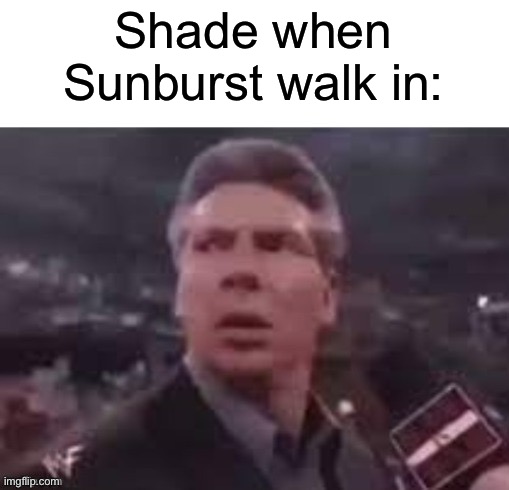 Both were actual users | Shade when Sunburst walk in: | image tagged in x when x walks in | made w/ Imgflip meme maker
