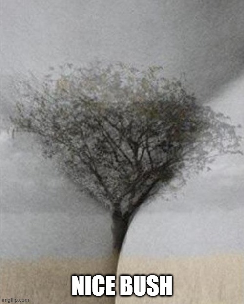 Your Mind is Dirty | NICE BUSH | image tagged in sex jokes | made w/ Imgflip meme maker
