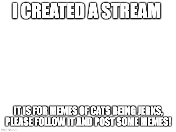 Blank White Template | I CREATED A STREAM; IT IS FOR MEMES OF CATS BEING JERKS, PLEASE FOLLOW IT AND POST SOME MEMES! | image tagged in blank white template | made w/ Imgflip meme maker