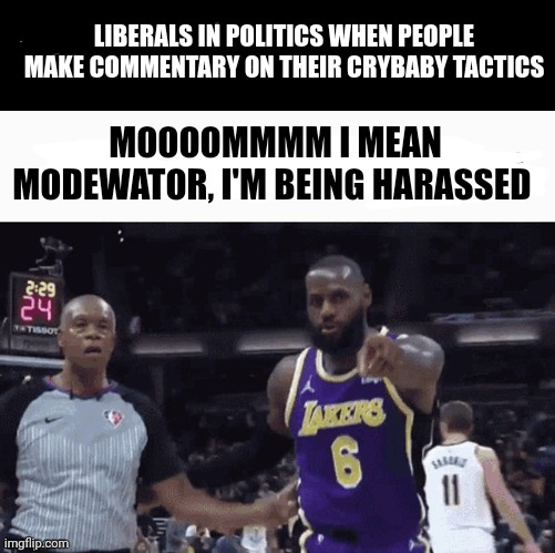LIBERALS IN POLITICS WHEN PEOPLE MAKE COMMENTARY ON THEIR CRYBABY TACTICS; MOOOOMMMM I MEAN MODEWATOR, I'M BEING HARASSED | image tagged in american politics,liberal tears,crying liberal,im telling god | made w/ Imgflip meme maker