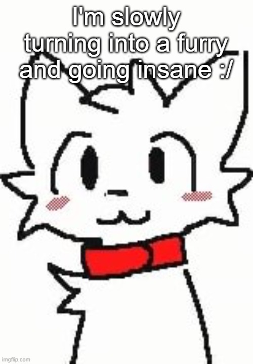 Silly Cat | I'm slowly turning into a furry and going insane :/ | image tagged in silly cat | made w/ Imgflip meme maker