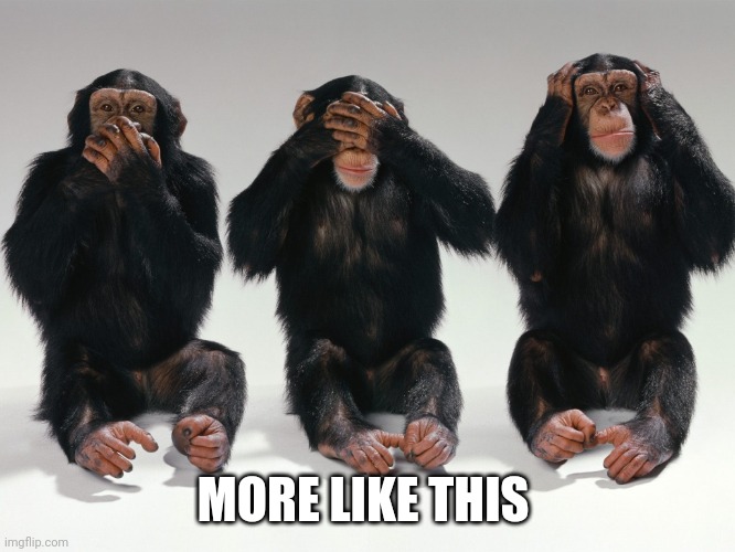 three monkeys | MORE LIKE THIS | image tagged in three monkeys | made w/ Imgflip meme maker