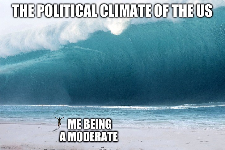 Bring a moderate sucks | THE POLITICAL CLIMATE OF THE US; ME BEING A MODERATE | image tagged in tsunami | made w/ Imgflip meme maker