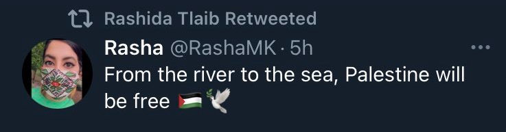 Rashida Tlaib from the river to the sea Blank Meme Template
