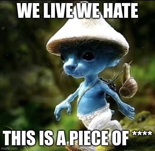 Blue Smurf cat | WE LIVE WE HATE; THIS IS A PIECE OF **** | image tagged in blue smurf cat | made w/ Imgflip meme maker