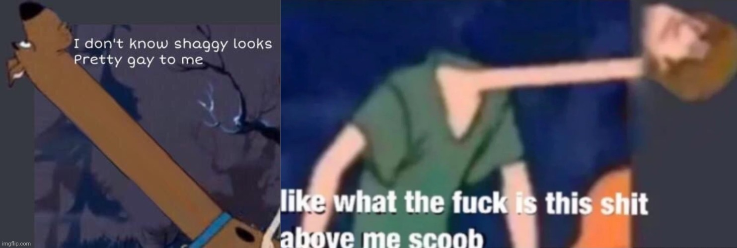 image tagged in i dont know shaggy looks pretty gay to me,like what the f ck is this sh t above me scoob | made w/ Imgflip meme maker