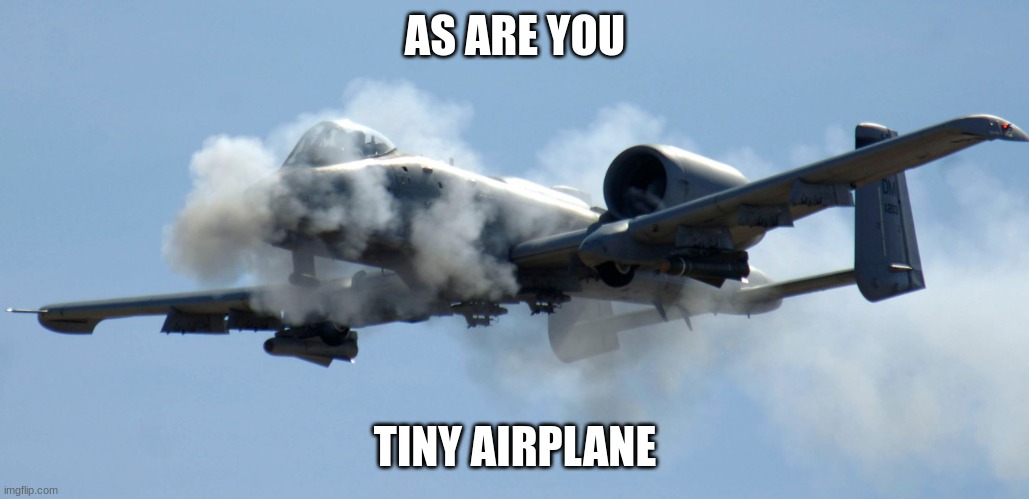 a-10 warthog thunderbolt brrrt | AS ARE YOU TINY AIRPLANE | image tagged in a-10 warthog thunderbolt brrrt | made w/ Imgflip meme maker