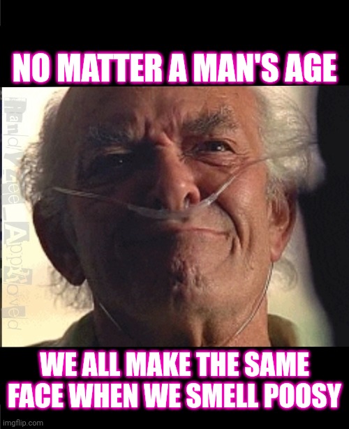IN THE HEAT OF THE NIGHT | NO MATTER A MAN'S AGE; WE ALL MAKE THE SAME FACE WHEN WE SMELL POOSY | image tagged in age is a mentality,old man,face,randyzee_approved,lookalike | made w/ Imgflip meme maker
