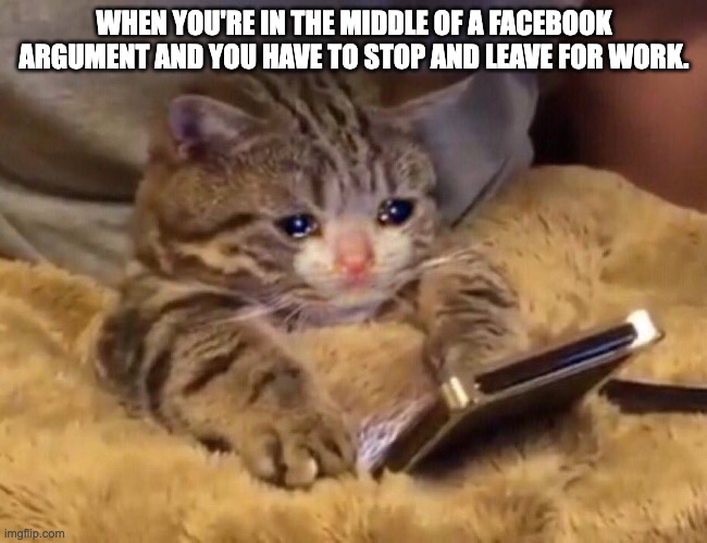 Sad cat phone | WHEN YOU'RE IN THE MIDDLE OF A FACEBOOK ARGUMENT AND YOU HAVE TO STOP AND LEAVE FOR WORK. | image tagged in sad cat phone,facebook | made w/ Imgflip meme maker