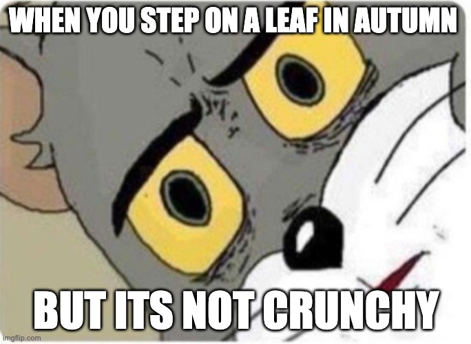 SO TRUE!!! | WHEN YOU STEP ON A LEAF IN AUTUMN; BUT ITS NOT CRUNCHY | image tagged in tom and jerry meme,funny memes | made w/ Imgflip meme maker