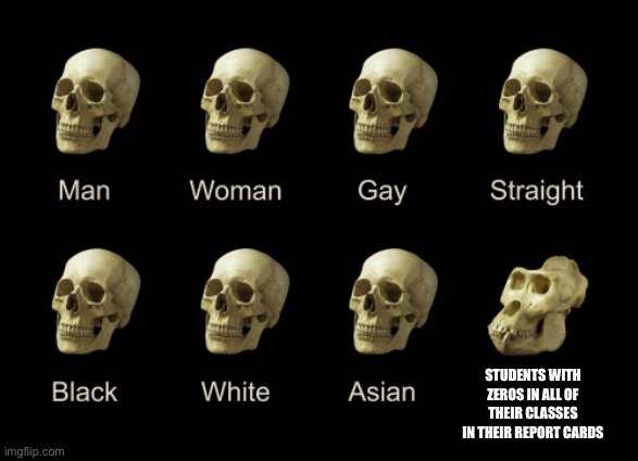 What skull are you? | STUDENTS WITH ZEROS IN ALL OF THEIR CLASSES IN THEIR REPORT CARDS | image tagged in dumb skull meme | made w/ Imgflip meme maker