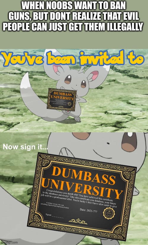 Guns are funs | WHEN NOOBS WANT TO BAN GUNS, BUT DONT REALIZE THAT EVIL PEOPLE CAN JUST GET THEM ILLEGALLY | image tagged in you've been invited to dumbass university,guns | made w/ Imgflip meme maker