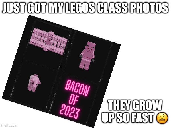 Wahhhhh | JUST GOT MY LEGOS CLASS PHOTOS; THEY GROW UP SO FAST 😩 | image tagged in class,bacon,2023,lego,pig,minecraft | made w/ Imgflip meme maker