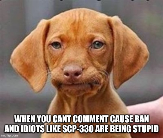 Hes cringe lol | WHEN YOU CANT COMMENT CAUSE BAN AND IDIOTS LIKE SCP-330 ARE BEING STUPID | image tagged in frustrated dog,guns,idiot | made w/ Imgflip meme maker