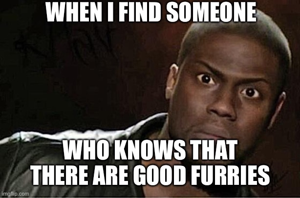 They Exist People! | WHEN I FIND SOMEONE WHO KNOWS THAT THERE ARE GOOD FURRIES | image tagged in memes,kevin hart,furries,good furries,anti-anti-furries,anti-furry hate | made w/ Imgflip meme maker