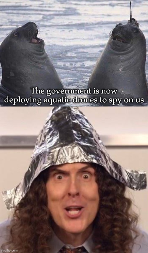 Drones | The government is now deploying aquatic drones to spy on us | image tagged in tin foil hat,drones,spy,government | made w/ Imgflip meme maker