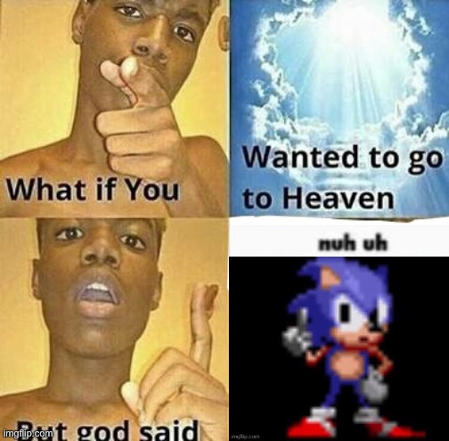 . | image tagged in what if you wanted to go to heaven | made w/ Imgflip meme maker