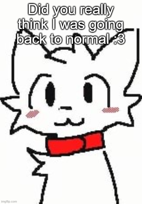 Silly Cat | Did you really think I was going back to normal :3 | image tagged in silly cat | made w/ Imgflip meme maker