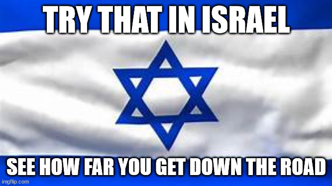 TRY THAT IN ISRAEL | TRY THAT IN ISRAEL; SEE HOW FAR YOU GET DOWN THE ROAD | image tagged in israel,disrespect,israel jews,wrath of god | made w/ Imgflip meme maker