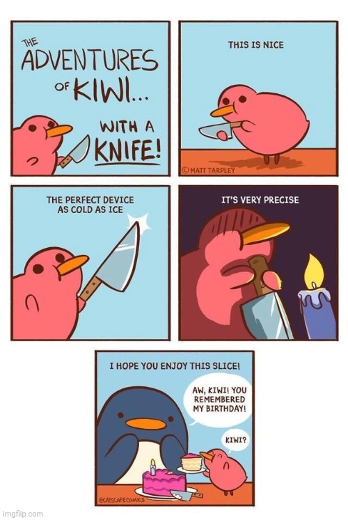 Kiwi with a knife | image tagged in kiwi,knife,bird,birds,comics,comics/cartoons | made w/ Imgflip meme maker