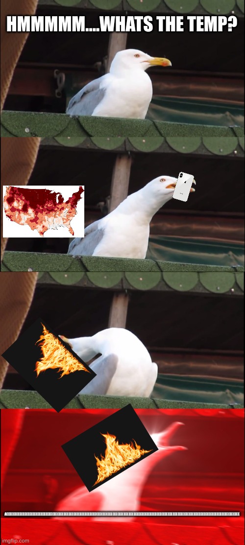 Inhaling Seagull Meme | HMMMMM....WHATS THE TEMP? AEEEEEEEEEEEEEEEEEEEEEEEEEEEEEEEEEEEEEEEEEEEEEEEEEEEEEEEEEEEEEEEEEEEEEEEEEEEEEEEEEEEEEEEEEEEEEEEEEEEEEEEEEEEEEEEEEEEEEEEEEEEEEEEEEEEEEEEEEEEEEEE | image tagged in memes,inhaling seagull | made w/ Imgflip meme maker