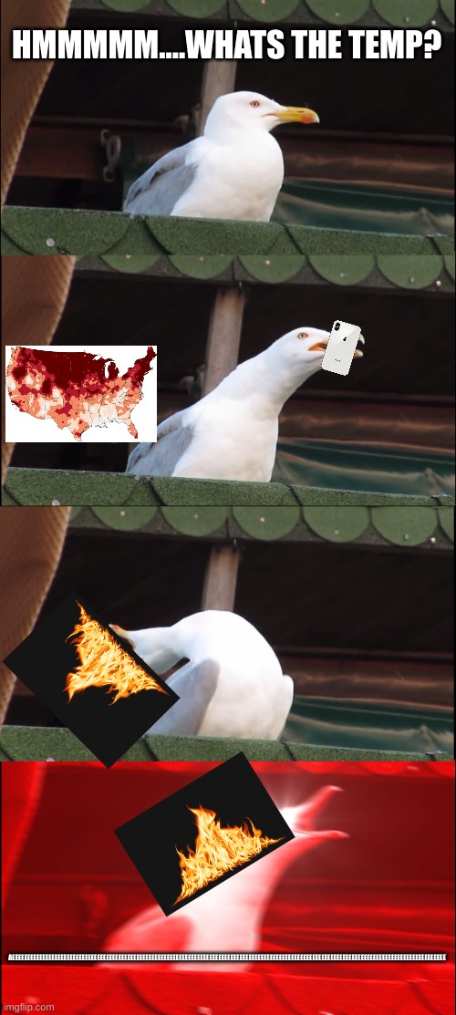 Inhaling Seagull | HMMMMM....WHATS THE TEMP? AEEEEEEEEEEEEEEEEEEEEEEEEEEEEEEEEEEEEEEEEEEEEEEEEEEEEEEEEEEEEEEEEEEEEEEEEEEEEEEEEEEEEEEEEEEEEEEEEEEEEEEEEEEEEEEEEEEEEEEEEEEEEEEEEEEEEEEEEEEEEEEE | image tagged in memes,inhaling seagull | made w/ Imgflip meme maker