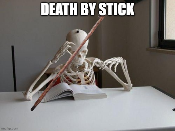 death by studying | DEATH BY STICK | image tagged in death by studying | made w/ Imgflip meme maker