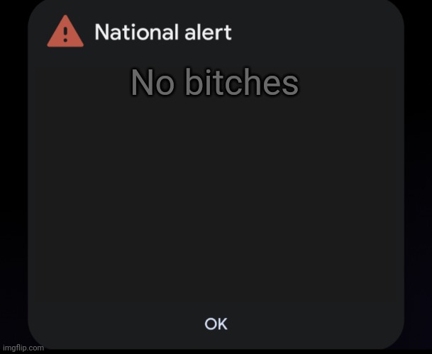 EAS National Alert Template | No bitches | image tagged in eas national alert template | made w/ Imgflip meme maker