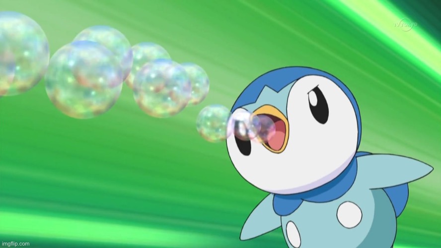 Piplup | image tagged in piplup | made w/ Imgflip meme maker